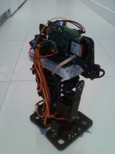 robopi2